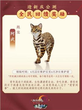 wang网页天龙八部私服